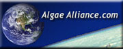 Algae Alliance