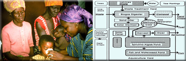 FoxTogoClinic8 Fox Togo Clinic