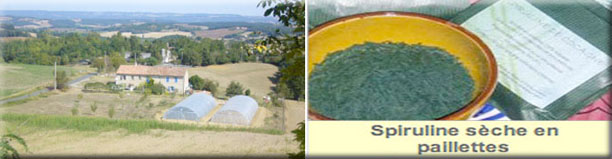 FranceDeCocagne8 France DeCocagne