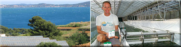 FranceDeProvence8 France DeProvence