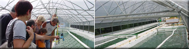 FranceDeSavoie8 France DeSavoie