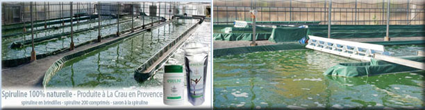 FranceDoTraverse8 France Domaine Traverse